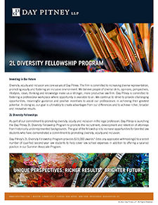 2L Diversity Fellowship Program brochure